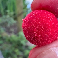 Fjuka Carp Fish Accelerant Hookbait & Boilie Coating Powder